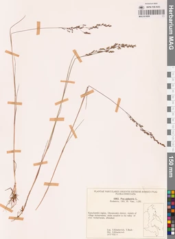 MAG 0018859