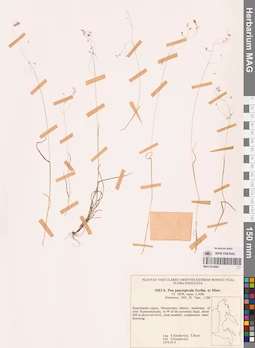 MAG 0018861