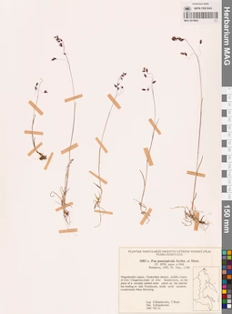 MAG 0018862
