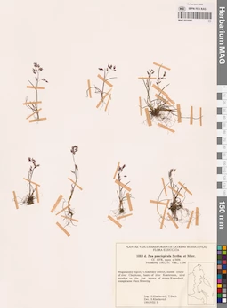 MAG 0018863