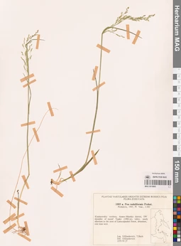 MAG 0018865