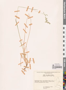 MAG 0018867