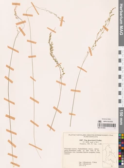 MAG 0018868