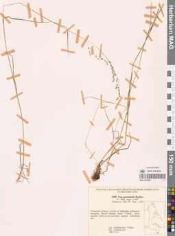 MAG 0018869