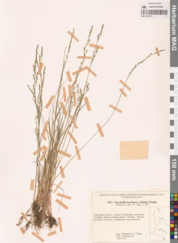 MAG 0018873
