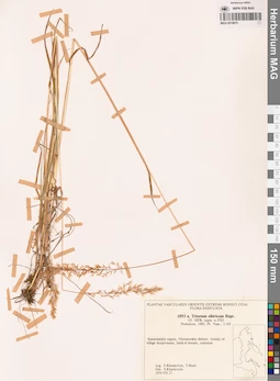 MAG 0018875