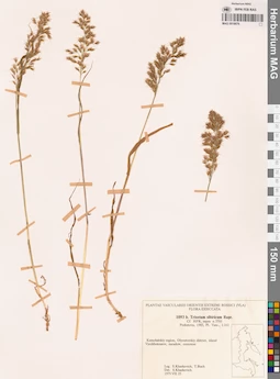 MAG 0018876
