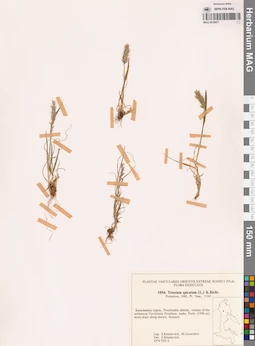MAG 0018877