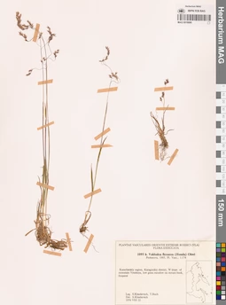 MAG 0018880