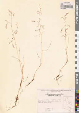 MAG 0018899