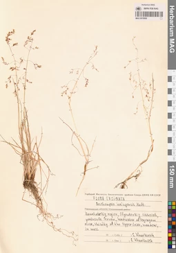 MAG 0018900