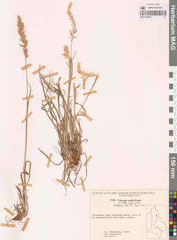 MAG 0018902