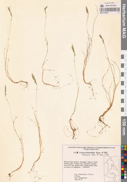 MAG 0018903