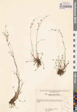 MAG 0018904