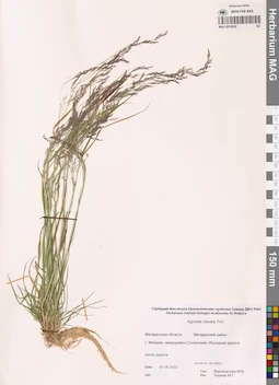 MAG 0015639