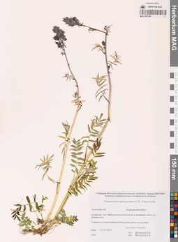 MAG 0021048