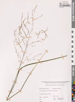 MAG 0021057