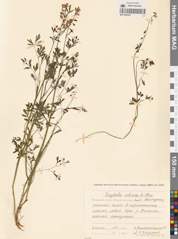 MAG 0002283