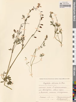 MAG 0002284