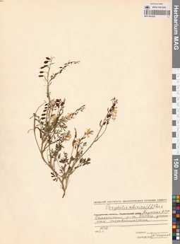 MAG 0002292