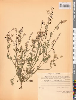 MAG 0002256