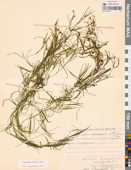 MAG 0021766