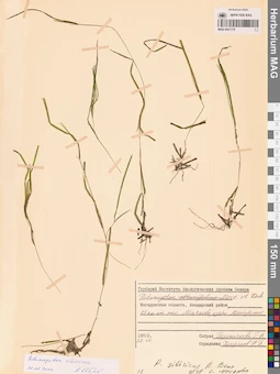 MAG 0021778