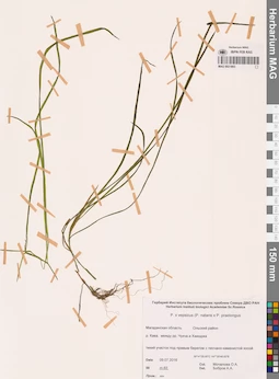MAG 0021803