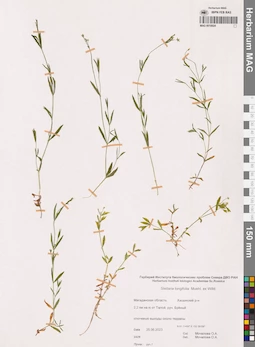 MAG 0018924