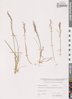 MAG 0018930