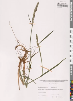MAG 0018938