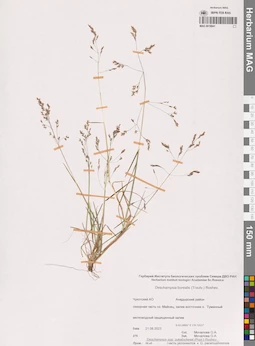 MAG 0018941