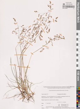 MAG 0018943