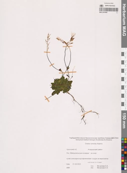 MAG 0018946
