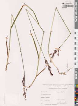 MAG 0018949