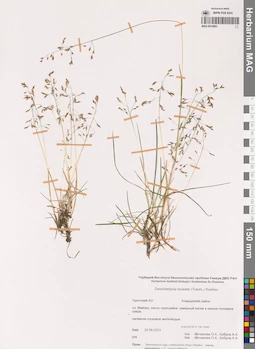 MAG 0018963
