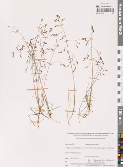 MAG 0018966