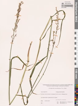 MAG 0018969