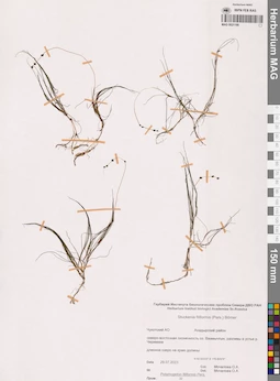 MAG 0021190