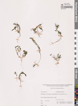 MAG 0021283