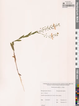 MAG 0010584