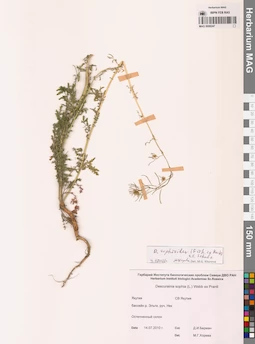 MAG 0006247
