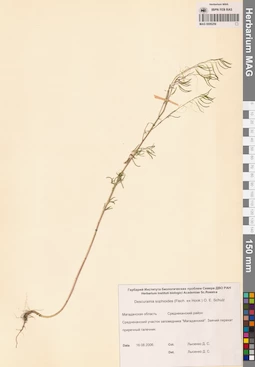MAG 0006259