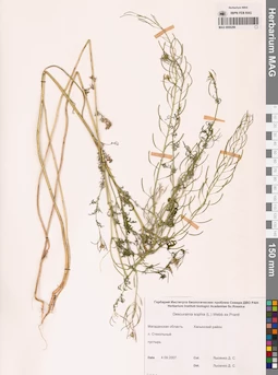 MAG 0006286