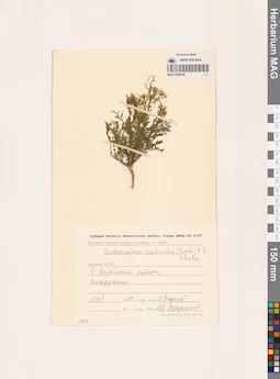 MAG 0006348