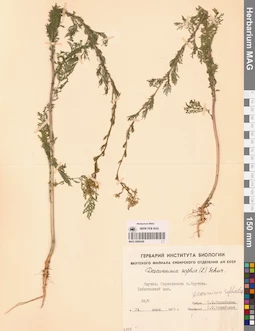 MAG 0006248