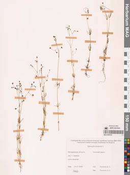 MAG 0006162