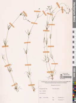 MAG 0006164