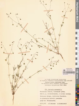 MAG 0006189