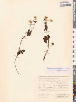 MAG 0011792